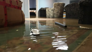 Water in basement - Cinnaminson Water Damage Clean Up